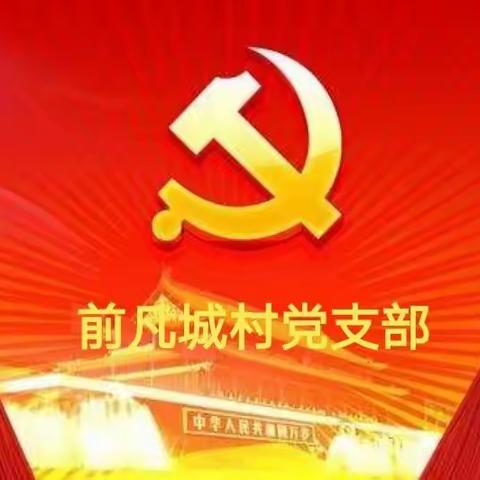 北云门镇前凡城村：开展“学先进 找差距 抓落实”主题党日活动