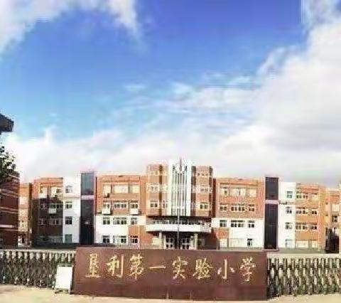 垦利区第一实验小学“基于核心素养下的蕴内涵育情怀”语文读书联盟暨陈成君李芹名师工作室寒假线上读书交流