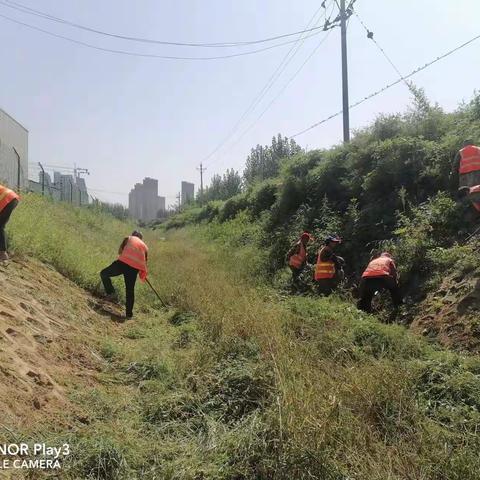 北关区彰北街道办事处宋家庙村人居环境治理