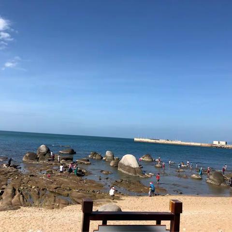 海特蓝虫控公司~~~~~~您身边值得信赖的虫害管理专家