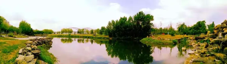 辽阳花卉绿植批发电话