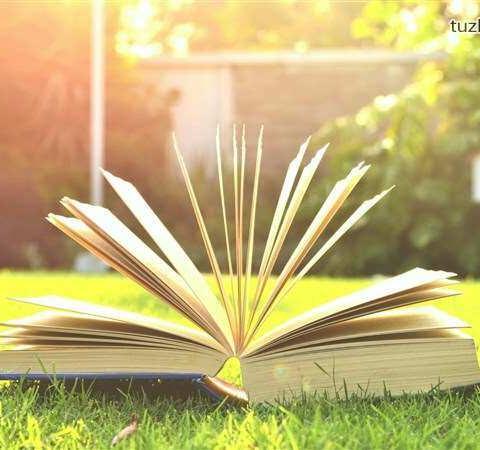 与书相伴，让生命充满绿意――大同市丁瑞芳小学数学名师工作室第十三次线上活动