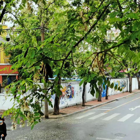 （林睿彤）熟悉的老街