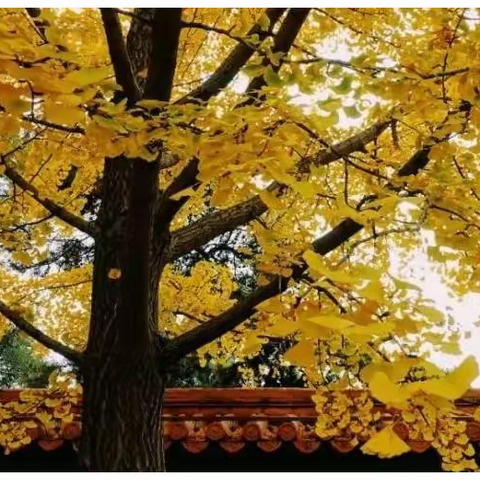 （康锦达） 剖析孙凤祥15     监狱那些事儿