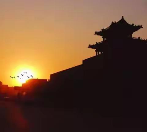 （金童）小    玲