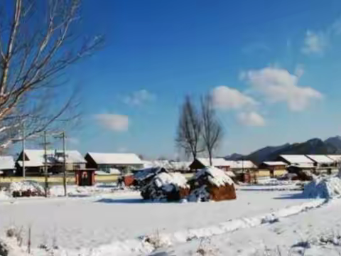 （康锦达）生命痕迹