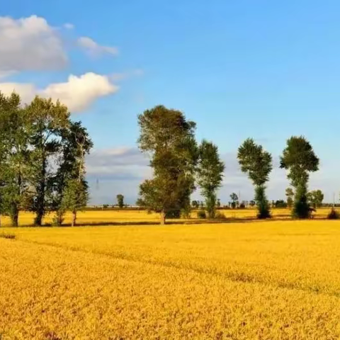 （康锦达）剖析孙凤祥14  读得懂孙凤祥的红颜知己