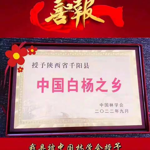 千阳县荣获“中国白杨之乡”称号