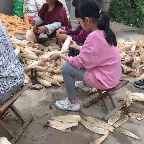 丰收的喜悦（莱州市双语学校   四年级七班  韩佳诺）