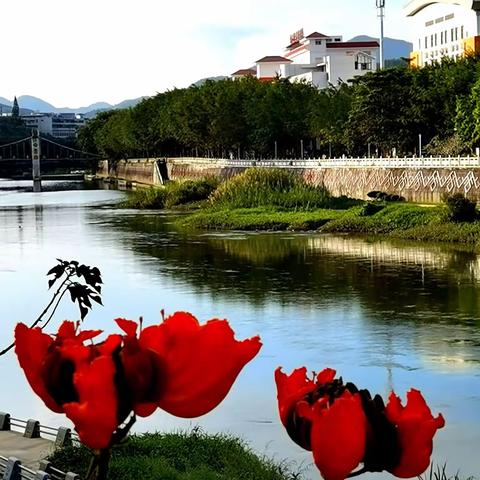 见证生命奇观（一）