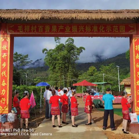 五指山最大的，百香果园游记