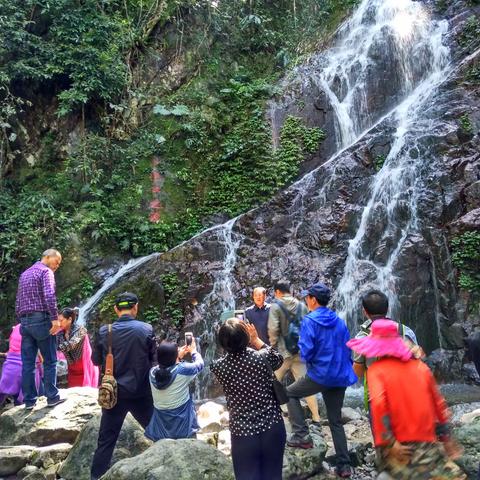 览昌化江源 赏雨林奇观