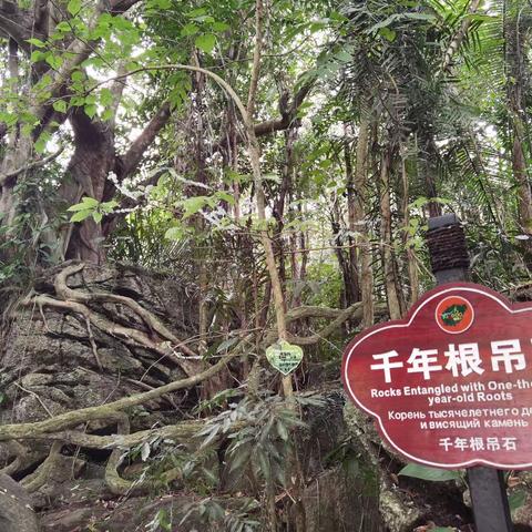 呀诺达之旅（三）