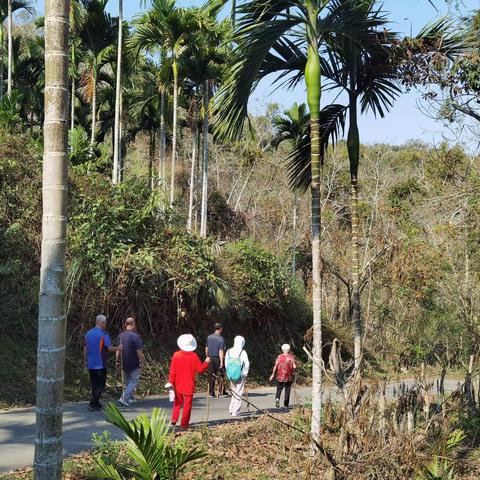 走 向 畅 好（一）