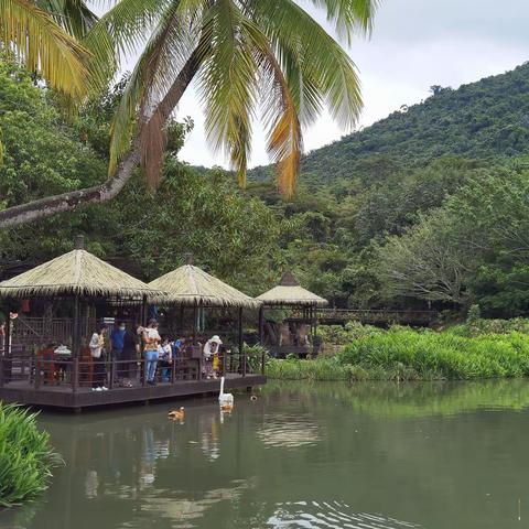 “呀诺达”之旅（一）