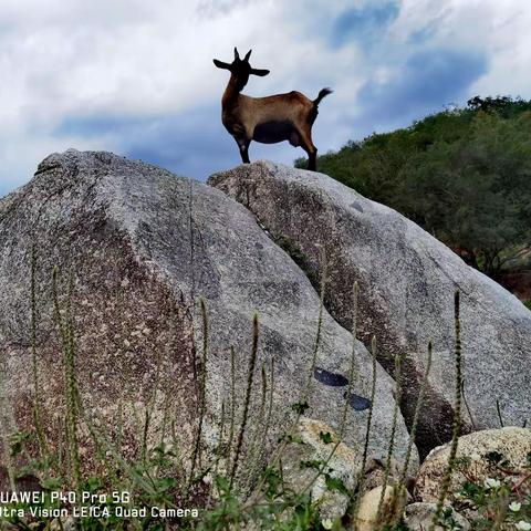 圣河别样美， ～五指山南圣河下游掠影