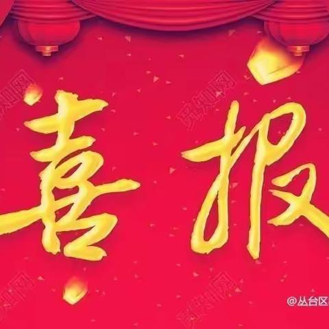 祝贺！丛台区美育工作获省、市139项荣誉！