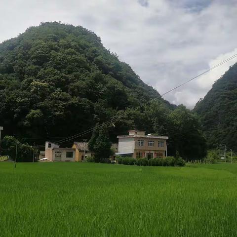 夏日故乡