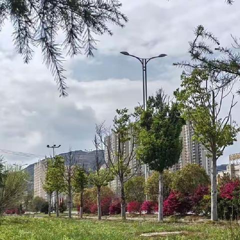 幸福一生的爱情是什么样子