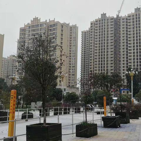 大雪过后的期盼