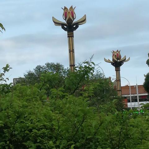 生活中有一道风景