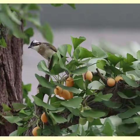 我的图片（副本）