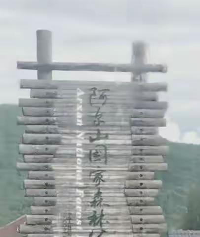 奇特的阿尔山国家森林公园