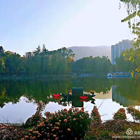 桌上一壶茶的美篇