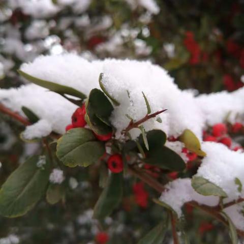 冰雪世界