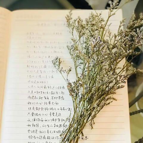 不悔梦归处