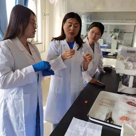 加大瘦肉精检测力度，保障群众“舌尖上的安全”