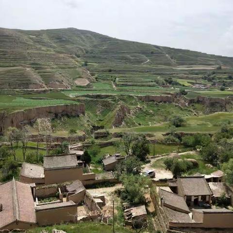 寻找儿时的痕迹