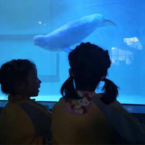 亲近自然，走进海洋世界——锦华幼儿园2018年亲子秋游活动