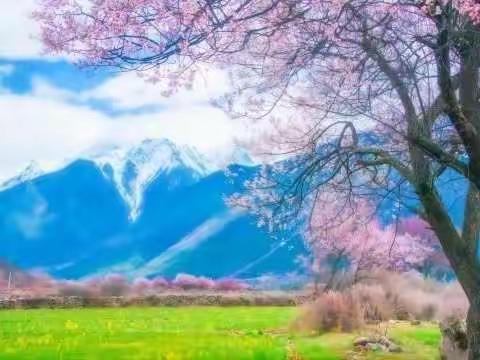 祝朋友们元宵节快乐！