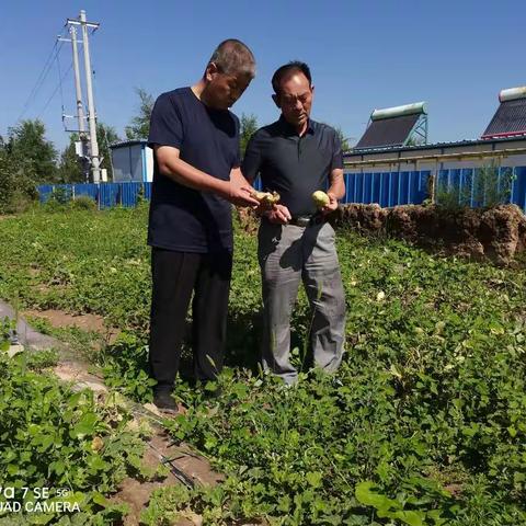 【灵宝农业】种子管理站人员到西闫乡进行种质资源普查