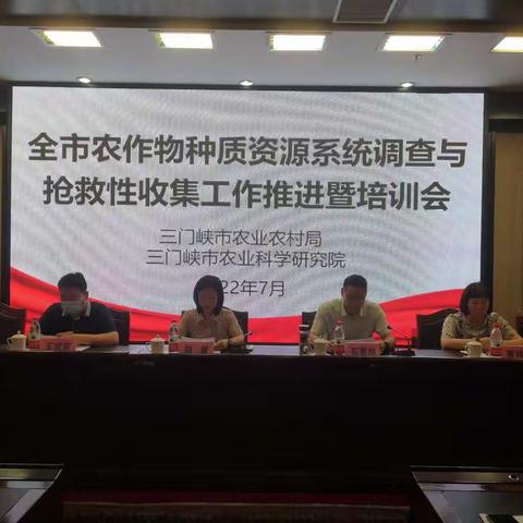 【灵宝农业】全市农作物种质资源系统调查与抢救性收集工作推进暨培训会