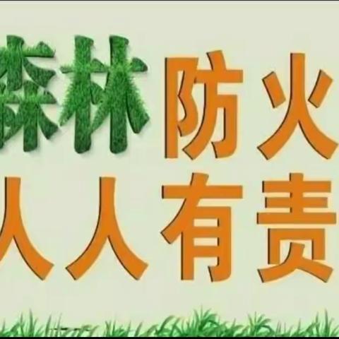 【“四美”白小】森林防火    人人有责——引镇街道白道峪小学森林防火告家长书