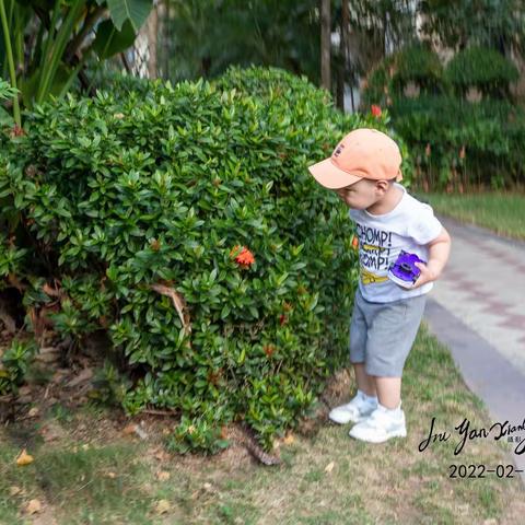 点点在三亚·棕榈滩的日子里