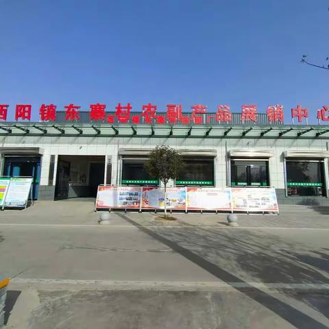 西阳镇:产业发展添动力  乡村振兴正当时——东寨村现场观摩会