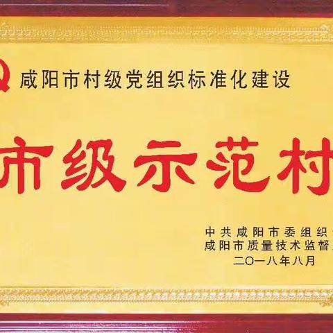 三原县西阳镇东寨村：跑出五大振兴加速度，打造宜居宜业幸福村