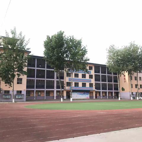 西街北校“校园绿化    文化建设”