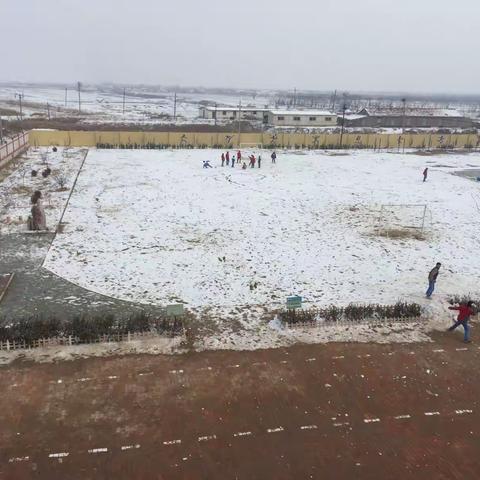 飞雪莫嫌春色晚