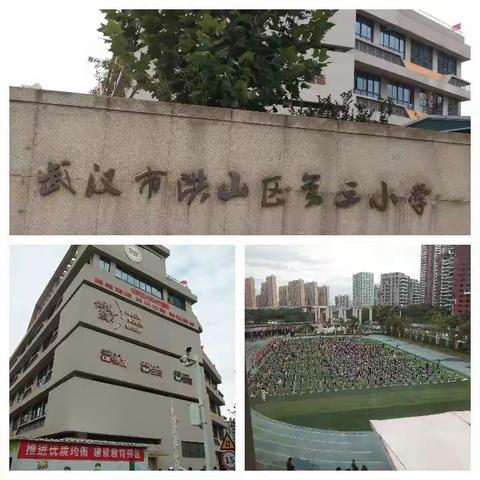 落实“双减”政策，提升作业质量  ——2021年海南省乡村小学数学教研员专业能力提升培训跟岗研修班系列报道（一）