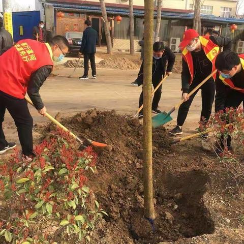淞江街道积极开展植树造林活动