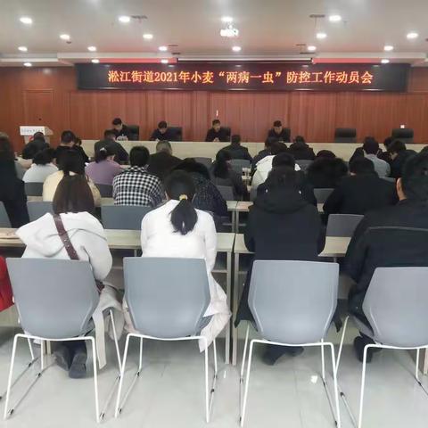 淞江街道全面开展小麦病虫害防控工作