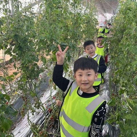七彩幼儿园——植树节《种下一片绿茵、温润整个童年》
