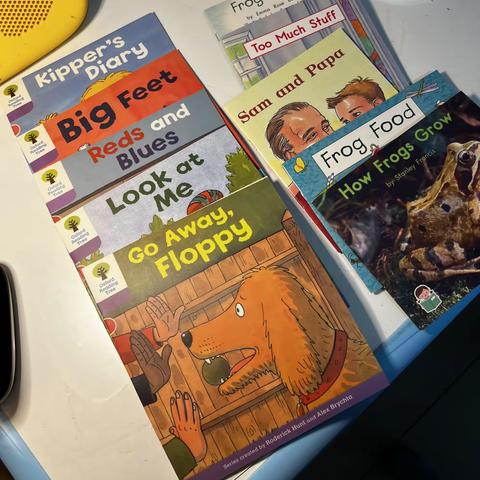 （0bu4 The little green frog）D85小西妈双语工程2109期46号Paris打卡