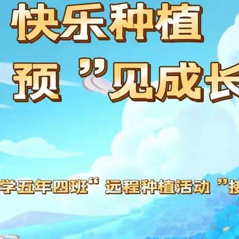 【四班•劳动】快乐种植 “预”见成长－兆麟小学五年四班“远程同步种植活动＂启动仪式