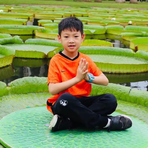 朱凌霄的快乐暑假