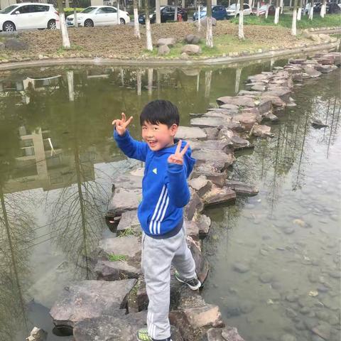 《小蝌蚪的传奇人生》——记小君第一次写作文